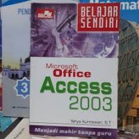 Microsoft Office Access 2003