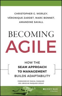 Becoming Agile: How the SEAM Approach to Management Builds Adaptability