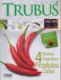 4 Strategi Tingkatkan Produksi Cabai