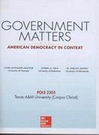 Government Matters American Democracy in Context