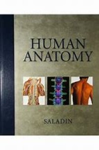 Human Anatomy