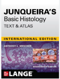Junqueira's Basic Histology: Text and Atlas
