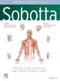 Muscle, Joints and Nerves: Origin - Insertion - Innervation - Function