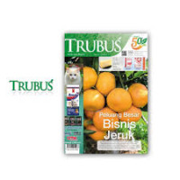 Peluang Besar Bisnis Jeruk