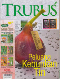 Peluang Kebunkan Tin