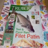 Tren dan Pasar Baru Filet Patin