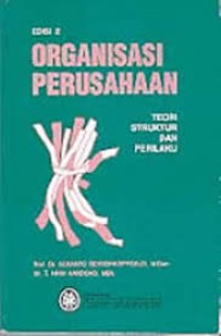 Organisasi Perusahaan: Teori Struktur dan Perilaku